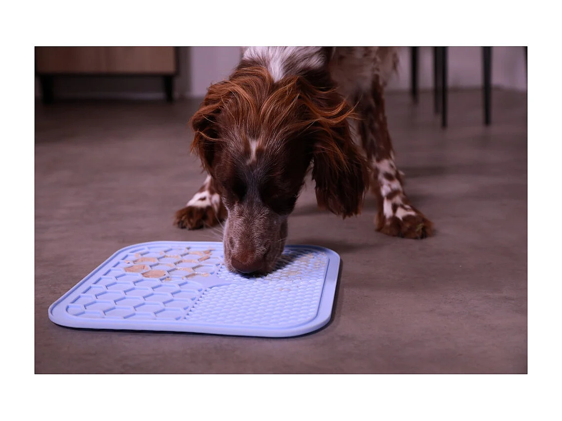 Tapis à lécher pour chien en silicone 20 x 20 cm