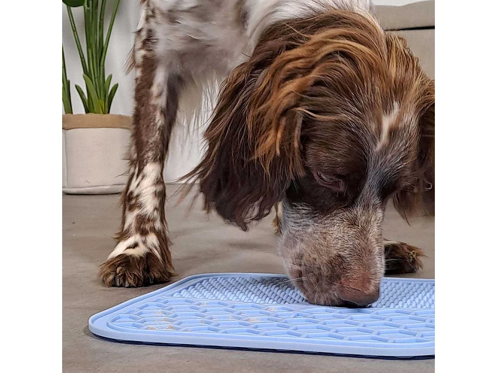 Tapis à lécher pour chien en silicone 20 x 20 cm
