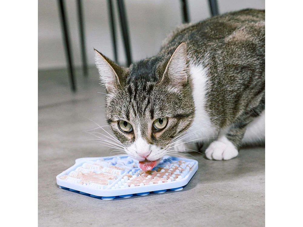 Tapis à lécher en silicone pour chat