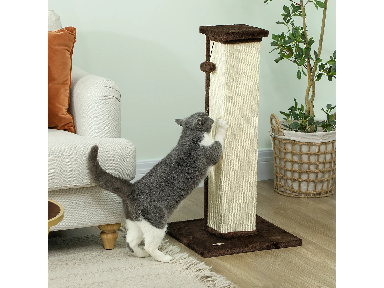 Griffoir tour pour chat H.81 cm - poteau à griffer avec jeu balle suspendue - peluche gris sisal naturel