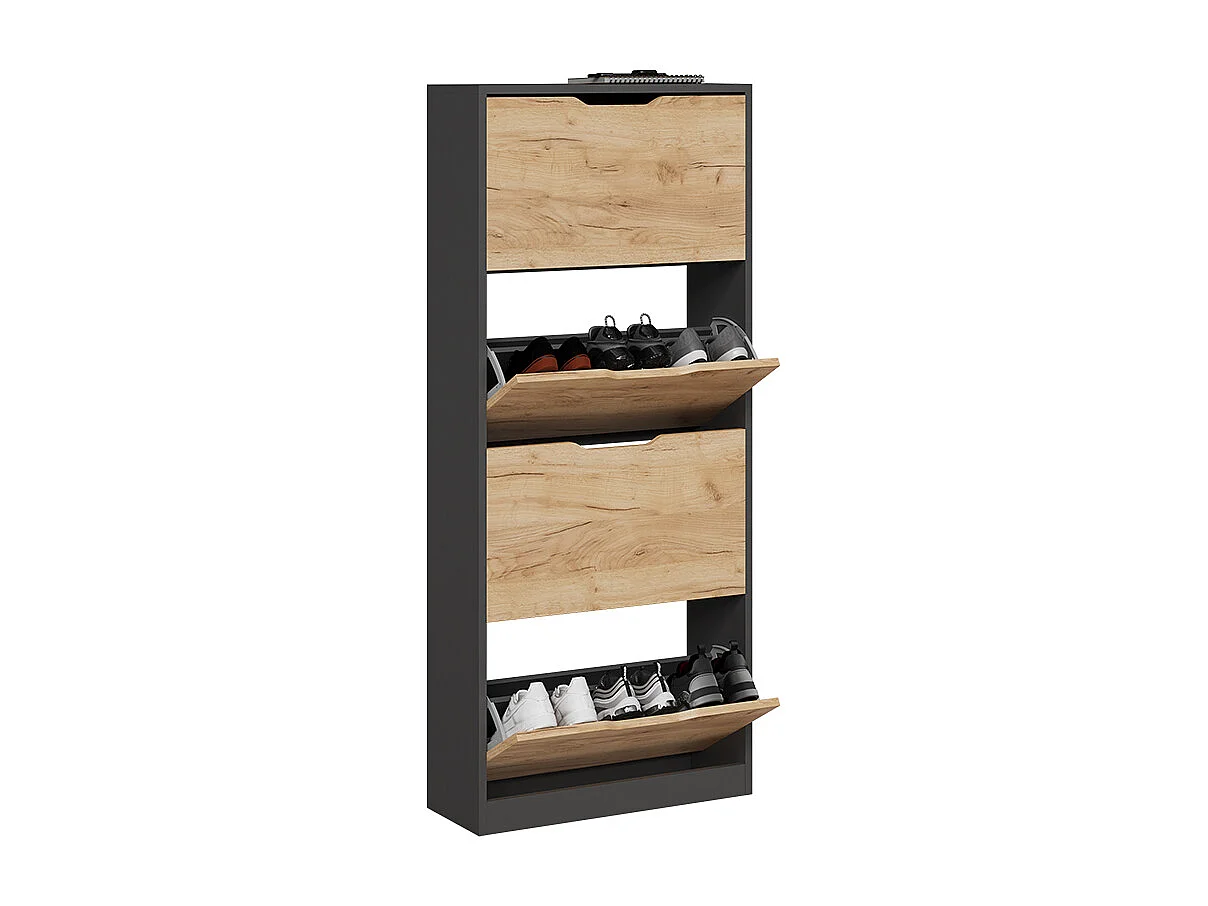Schuhkipper anthrazit/goldkraft eiche 59x22x137 luca