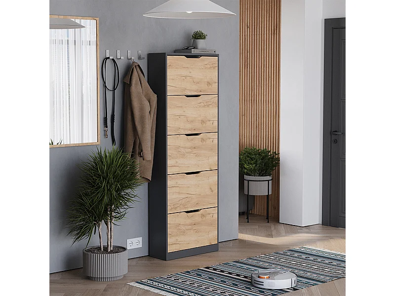 Schuhkipper carvalho antracite/goldkraft 59x22x169 luca