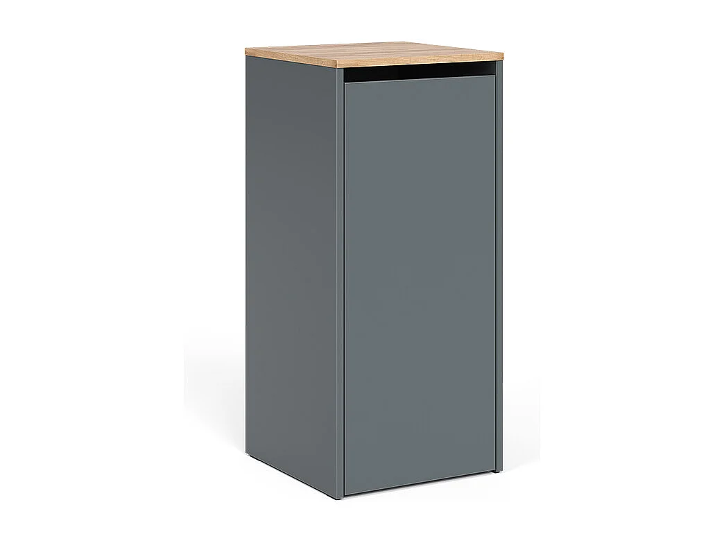 Armoire de salle de bain anthracite/chêne doré 40.2x40.5x88.2 viktor