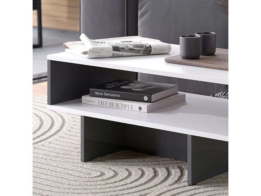 Table basse blanc/anthracite 80x46.2x35.4 josef