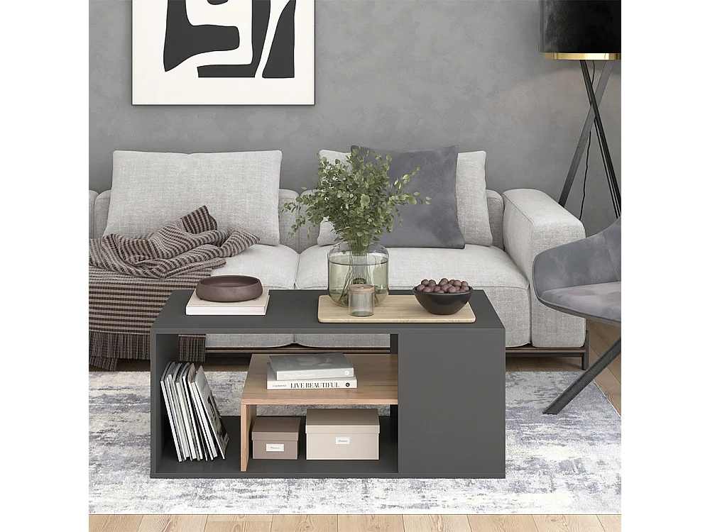 Table basse anthracite/chêne doré 110x59x47 edgar