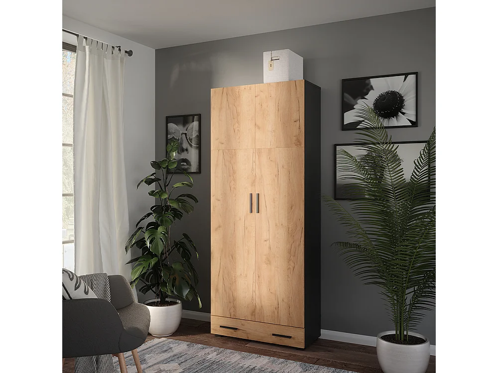 Armoire universelle anthracite/chêne doré 80x37x201.2 ingo