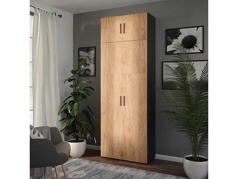 Armoire universelle anthracite/chêne doré 80x37x223.8 ingo