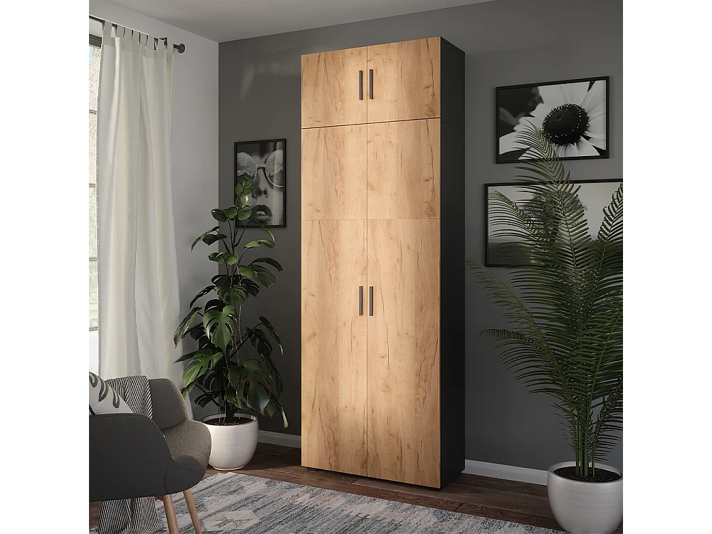 Armoire universelle anthracite/chêne doré 80x37x223.8 ingo