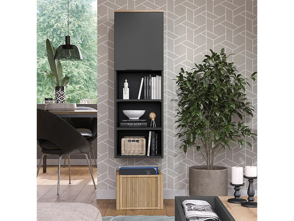 Armoire universelle anthracite/sonoma 40.2x40x120 wido