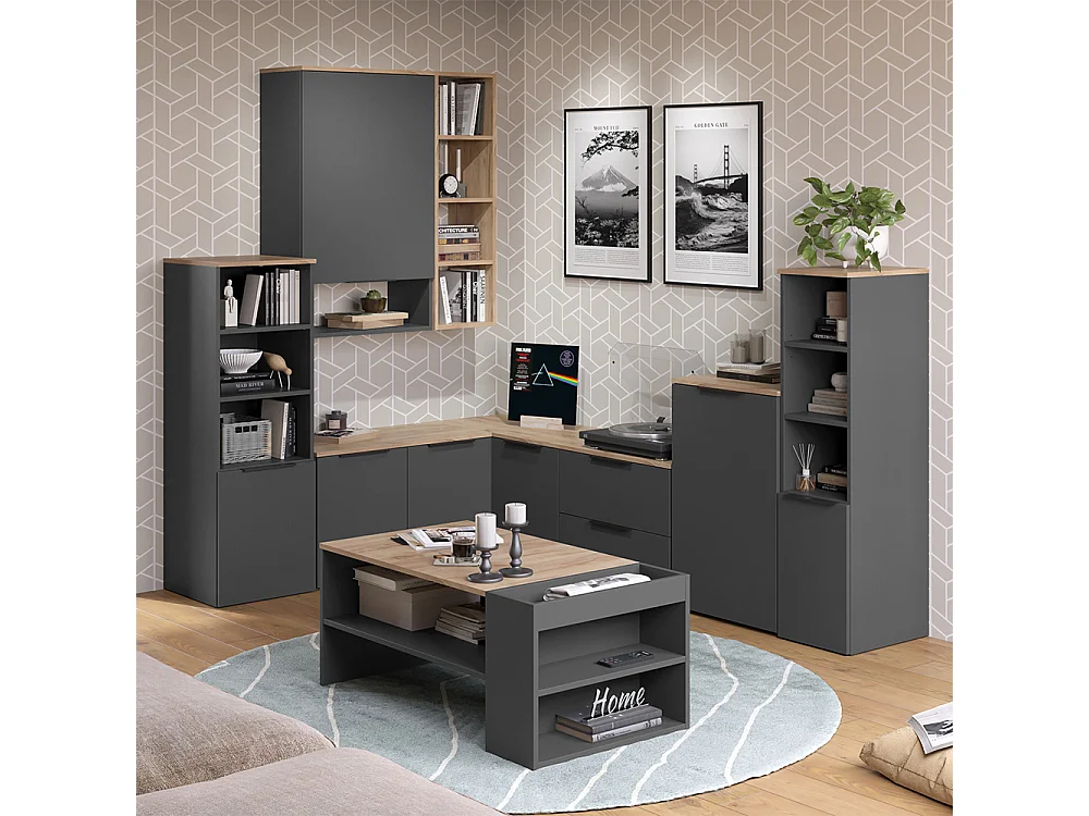 Universele kast antraciet/sonoma 40.2x40x120 wido