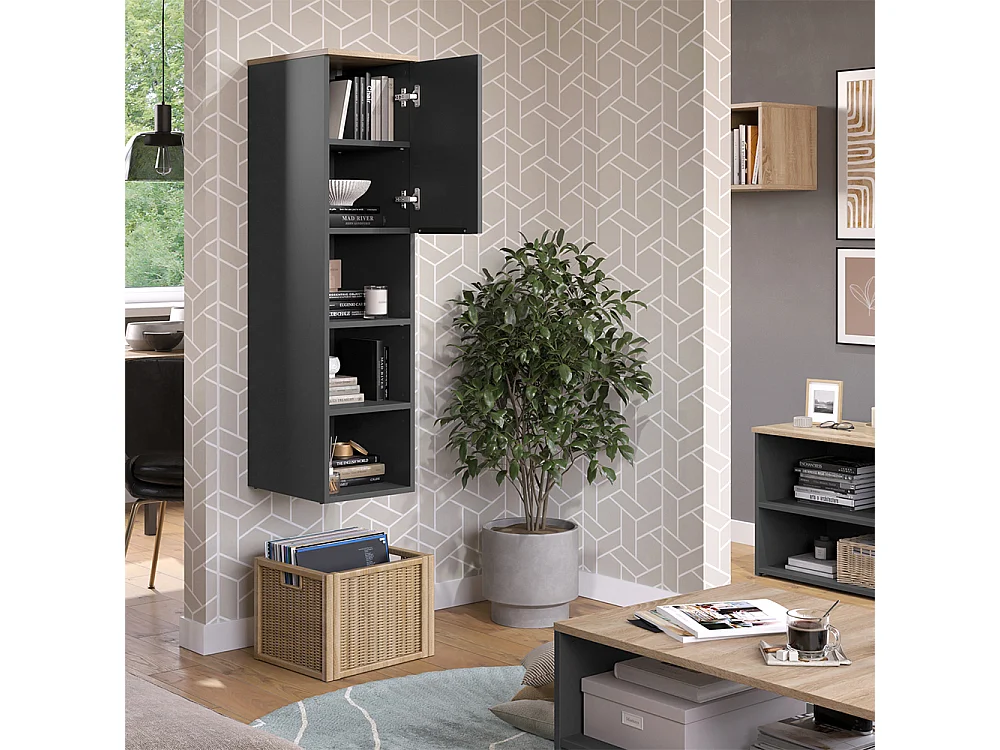 Armoire universelle anthracite/sonoma 30.2x40x120 wido