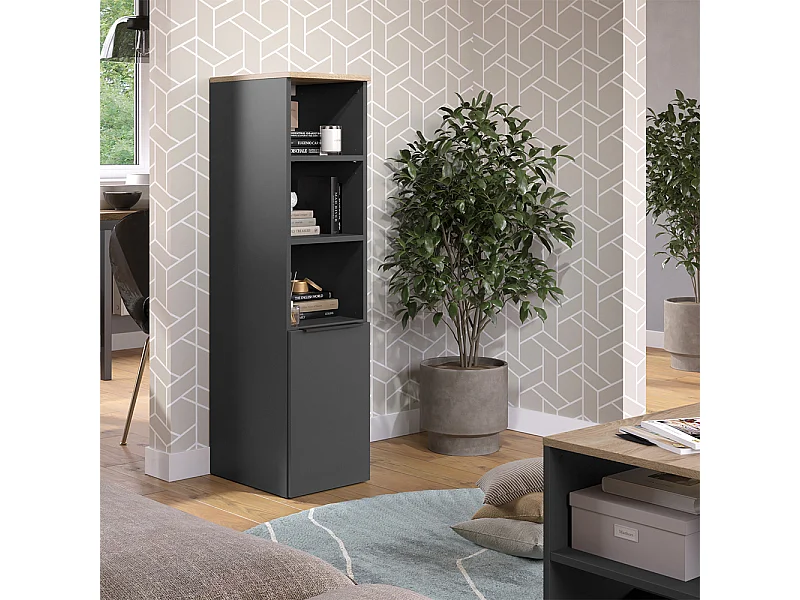 Armoire universelle anthracite/sonoma 30.2x40x120 wido