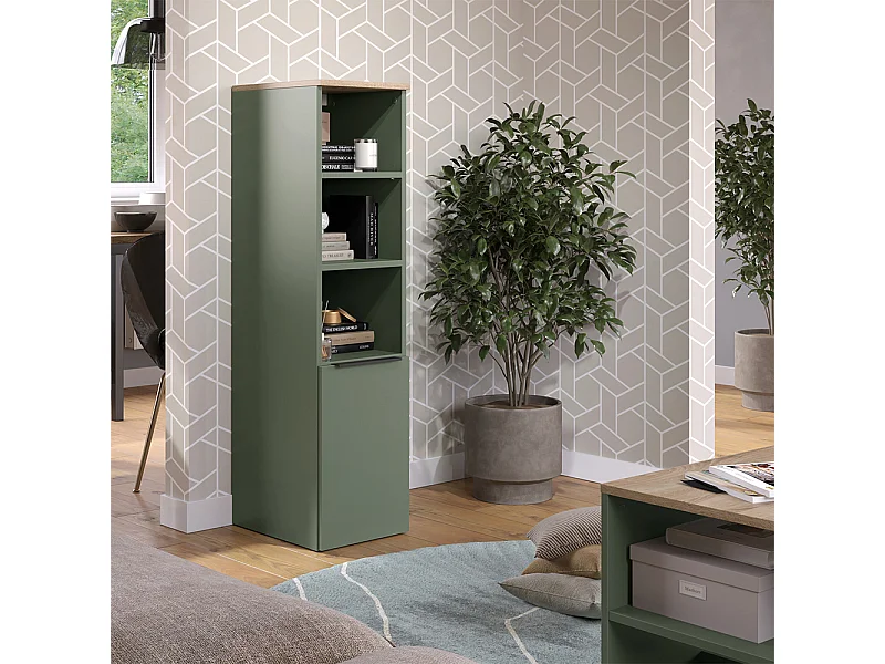 Armoire universelle vert 30.2x40x120 wido