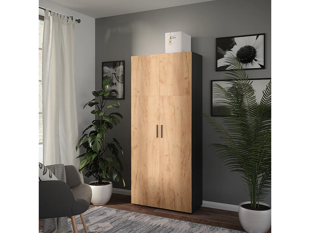 Armoire universelle anthracite/chêne doré 80x37x183.8 ingo