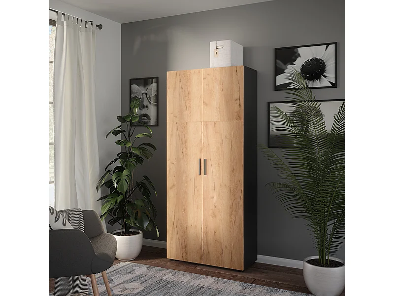 Armoire universelle anthracite/chêne doré 80x37x183.8 ingo