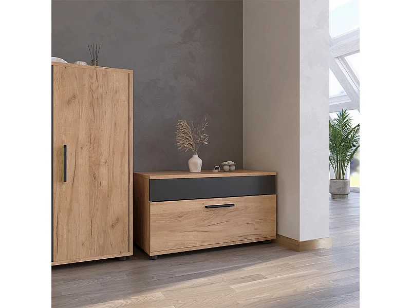 Wohnzimmerschrank goldkraft eiche/anthrazit 70.8x35.3x38.9 berno