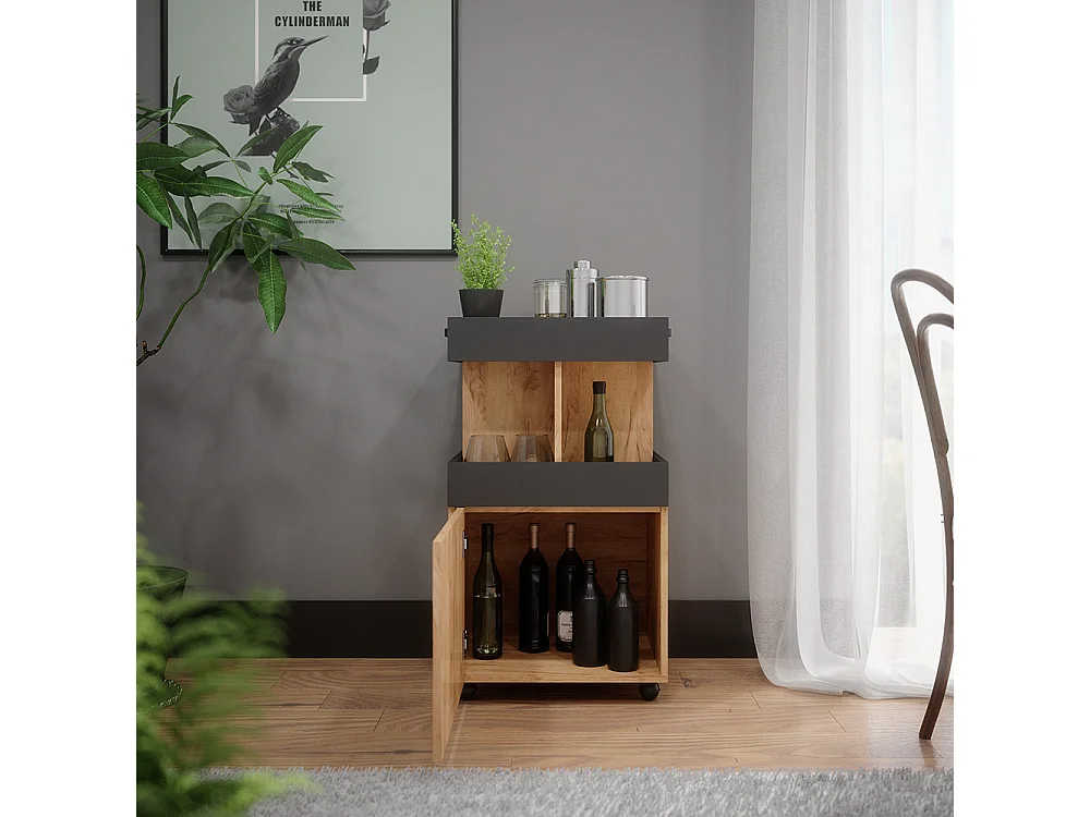 Caisson à roulettes chêne de force doré 50x41x88.6