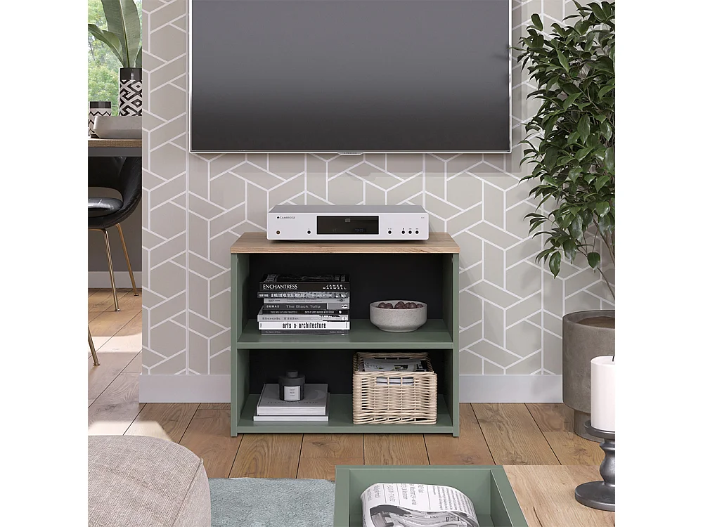 Meuble TV vert 60x40x50 wido