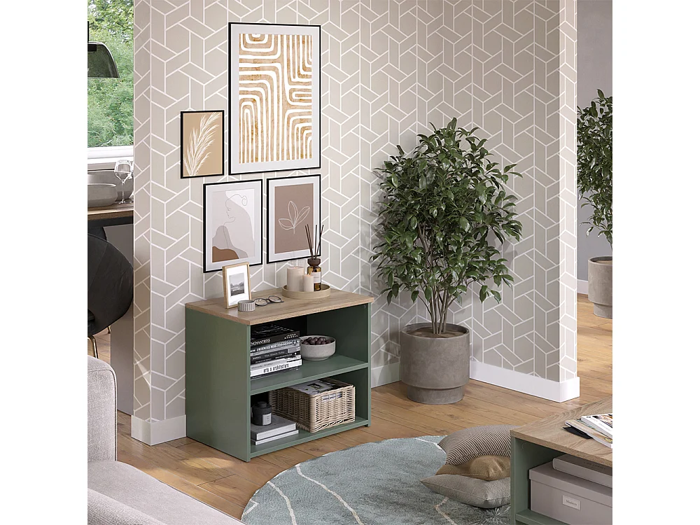 Mobile tv verde 60x40x50 wido