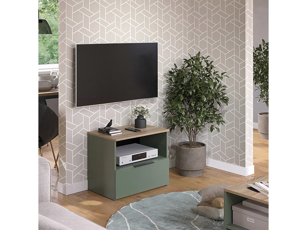 Meuble TV vert 60x40x50 wido