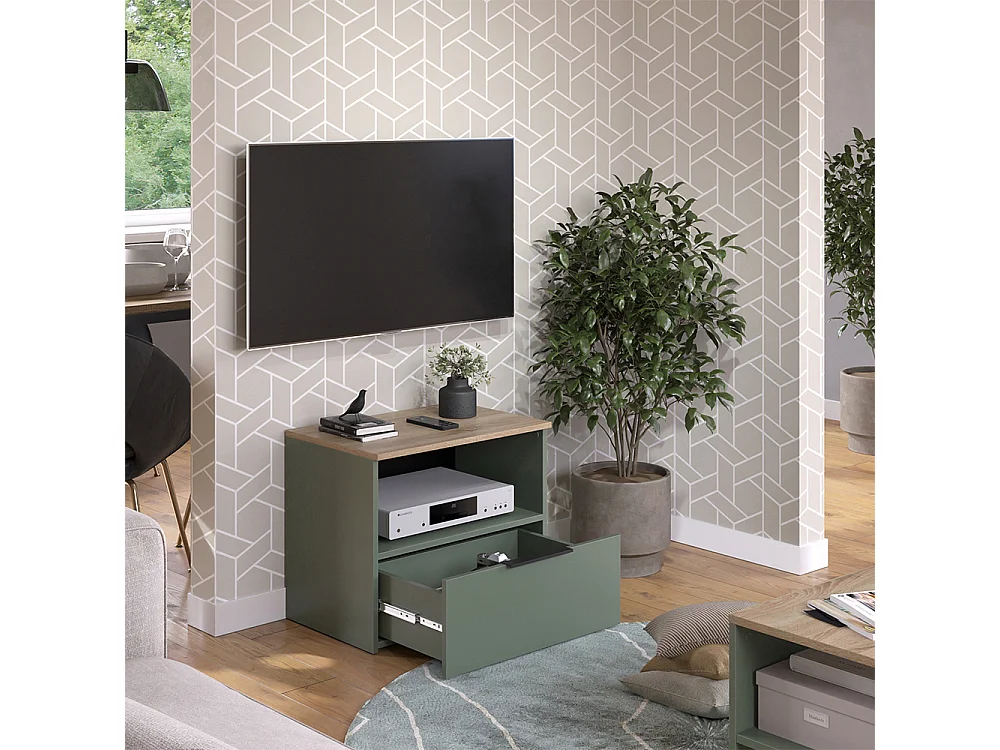 Meuble TV vert 60x40x50 wido