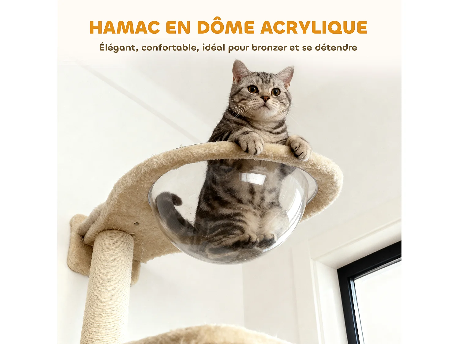 Arbre à chat design mural - parcours mural en bois pour chat 6 pièces variées - crème gris