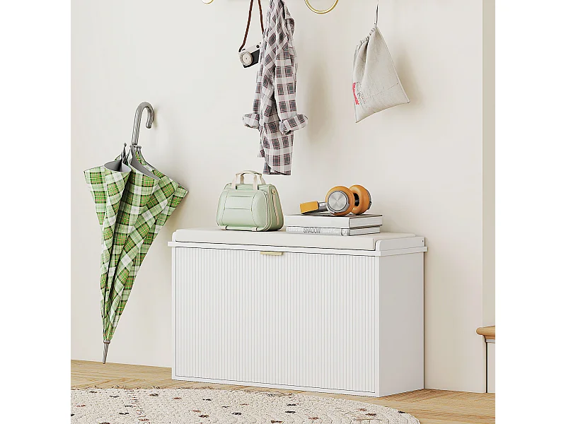 Banc meuble à chaussures design 2 en 1 - porte, séparateur réglable amovible - blanc doré