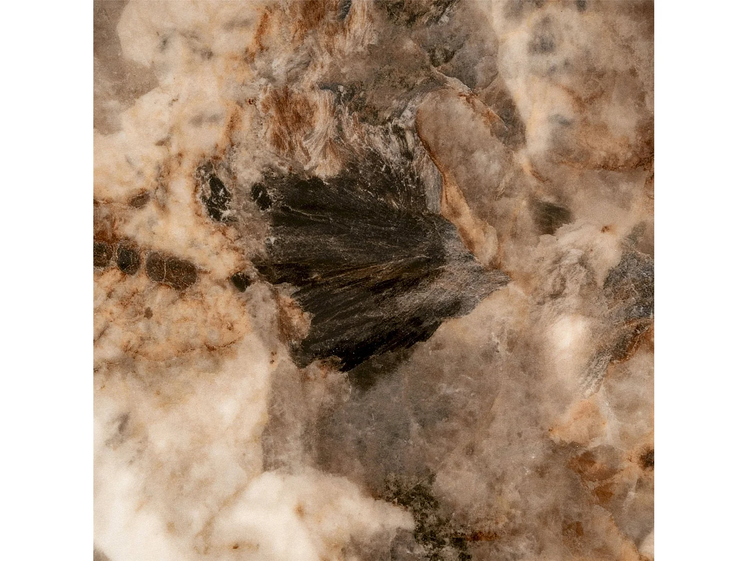 Table basse élégante avec plateau céramique marron et piètement bois