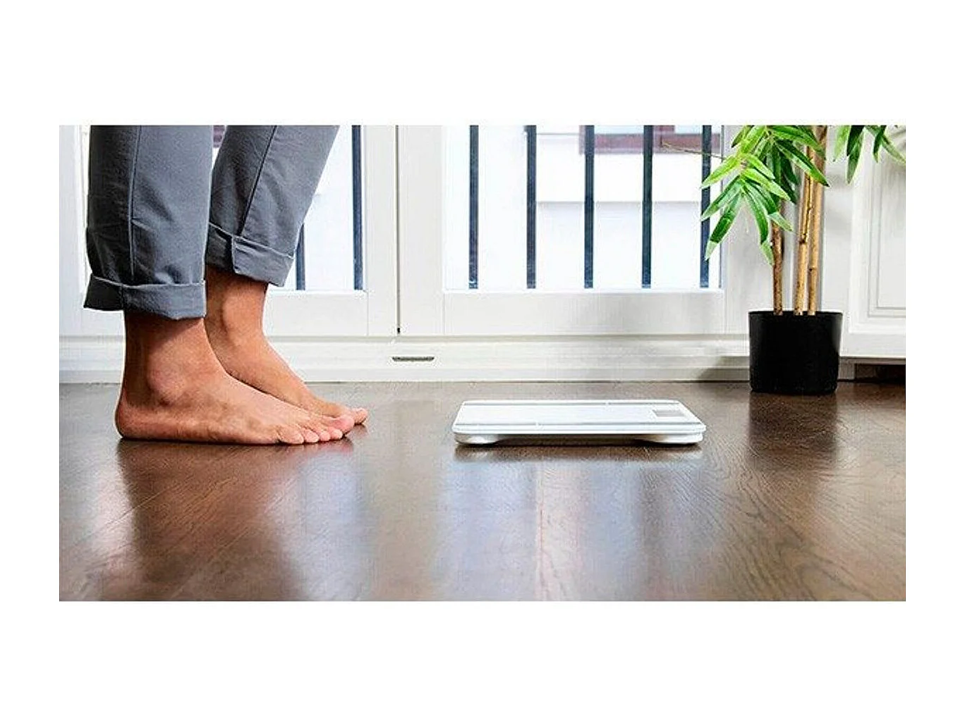 Báscula baño Cecotec Surface Precision 9400 Full Healthy