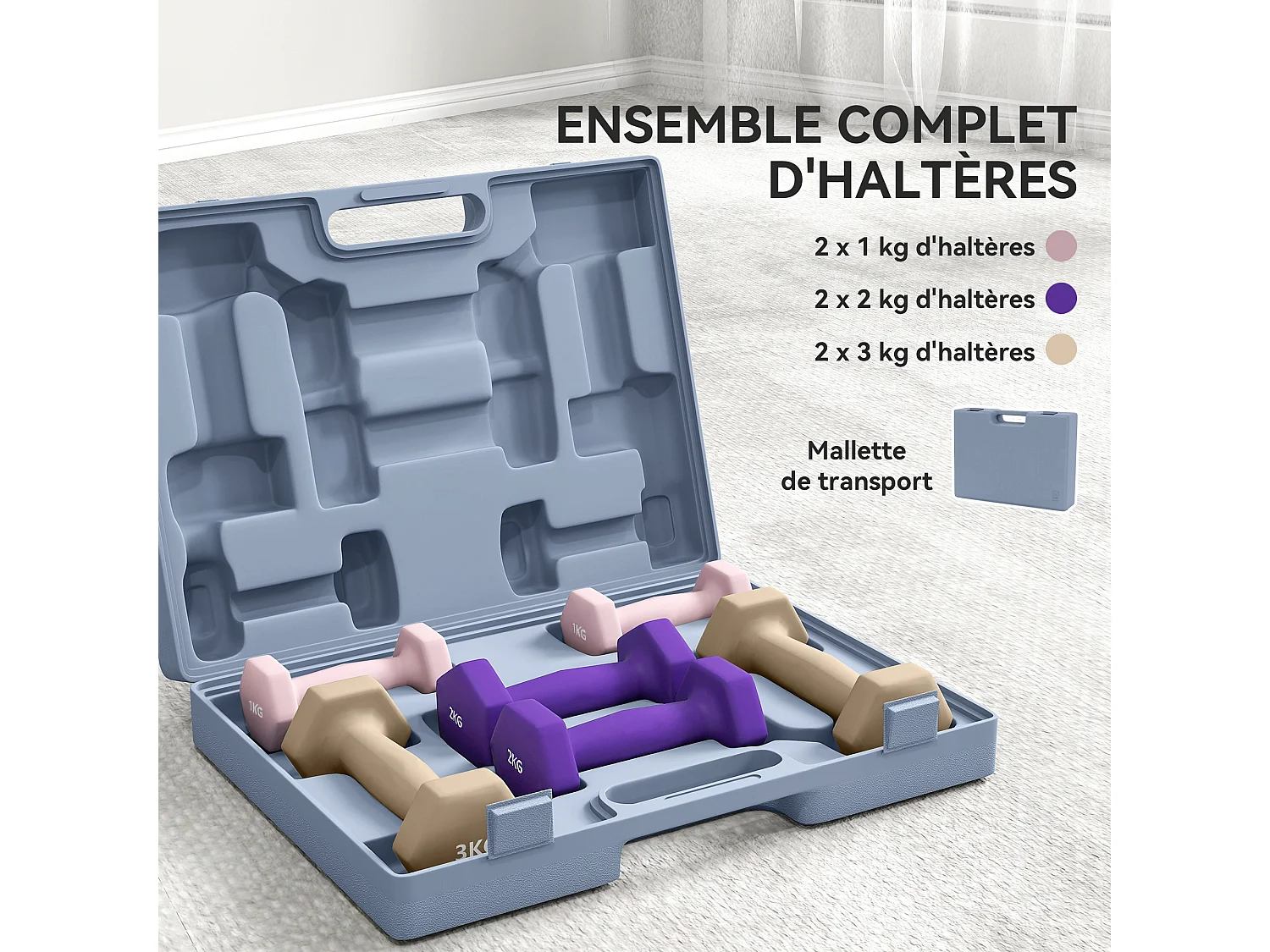 Ensemble d'haltères hexagonales total 12 Kg 6 pièces 1-3 Kg avec mallette multicolore