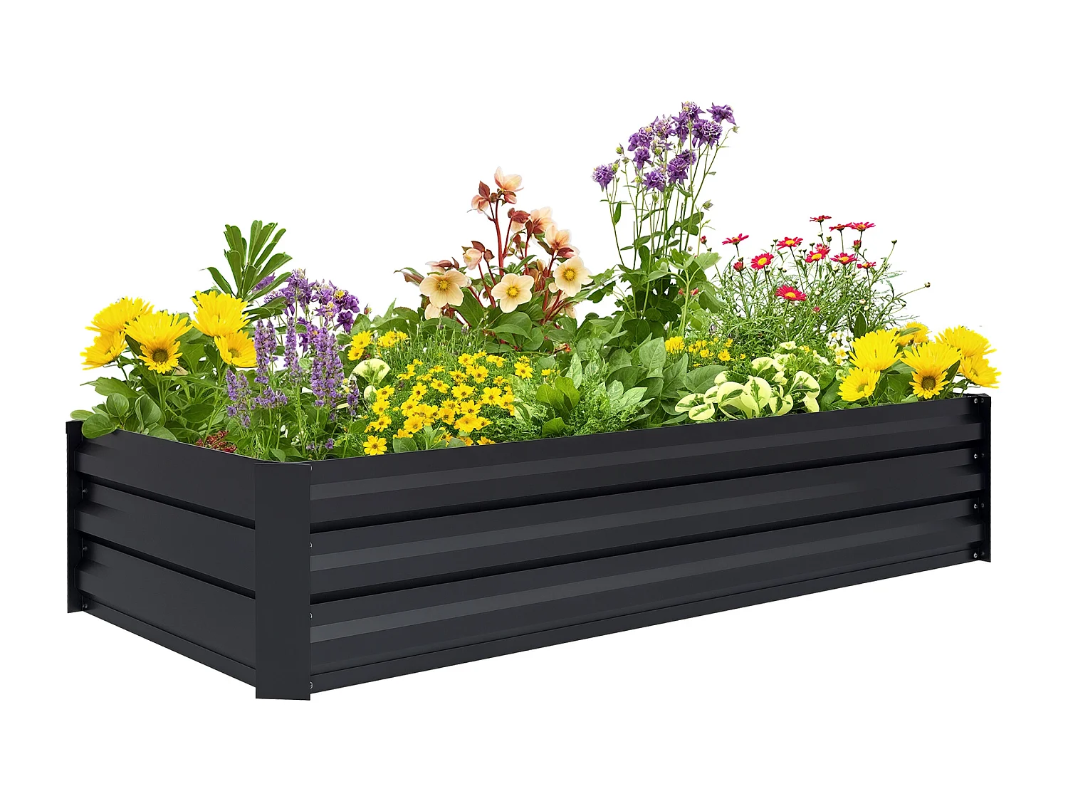 Jardinière rectangulaire carré potager dim. 150L x 70l x 30H cm acier ondulé noir