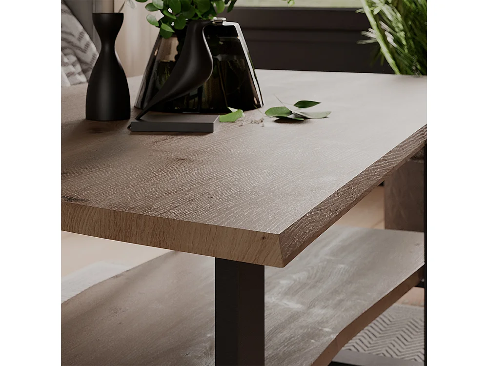 Table basse artisan 100x60x40 yan