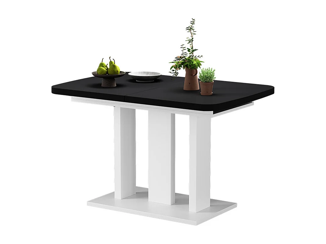 Table de salle à manger noir/blanc 120x80x77.3 fenaro