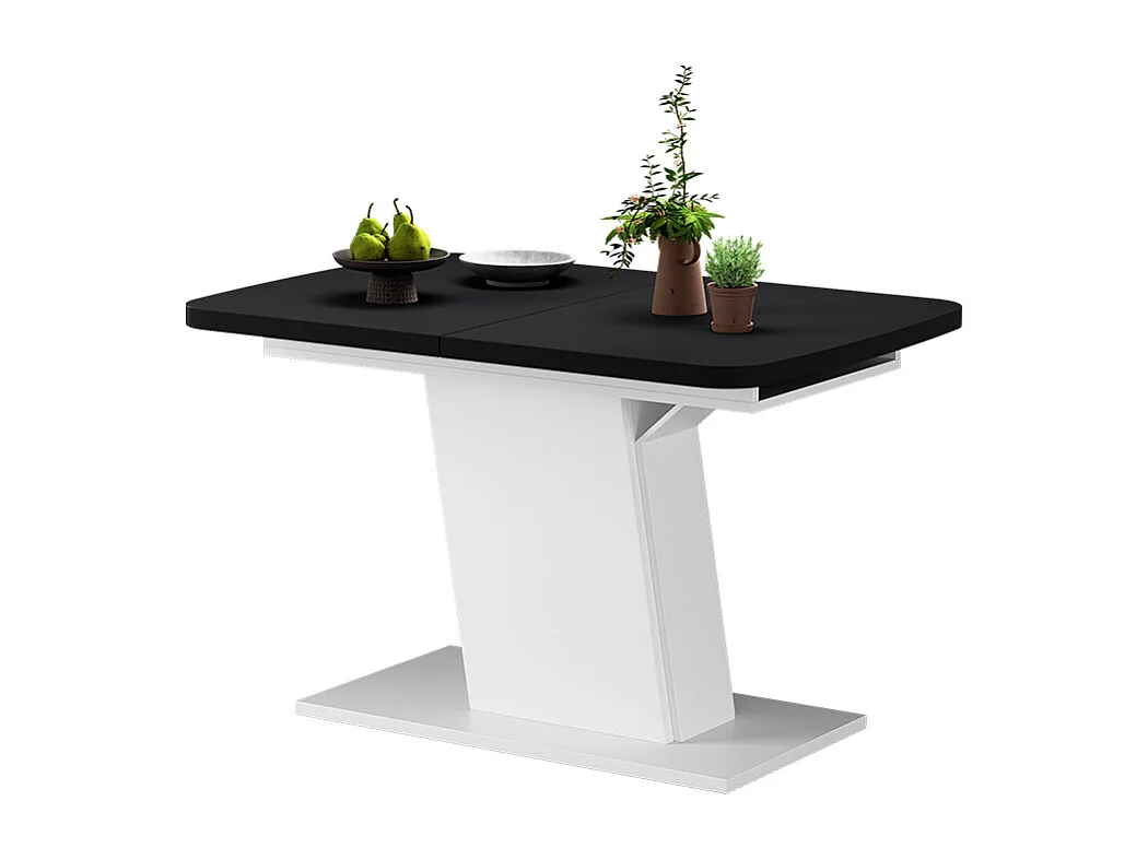 Table de salle à manger noir/blanc 120x80x77.3 fenaro