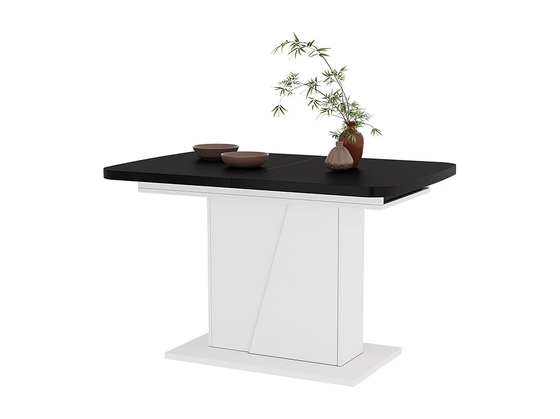 Table de salle à manger noir/blanc 120x80x77.3 fenaro