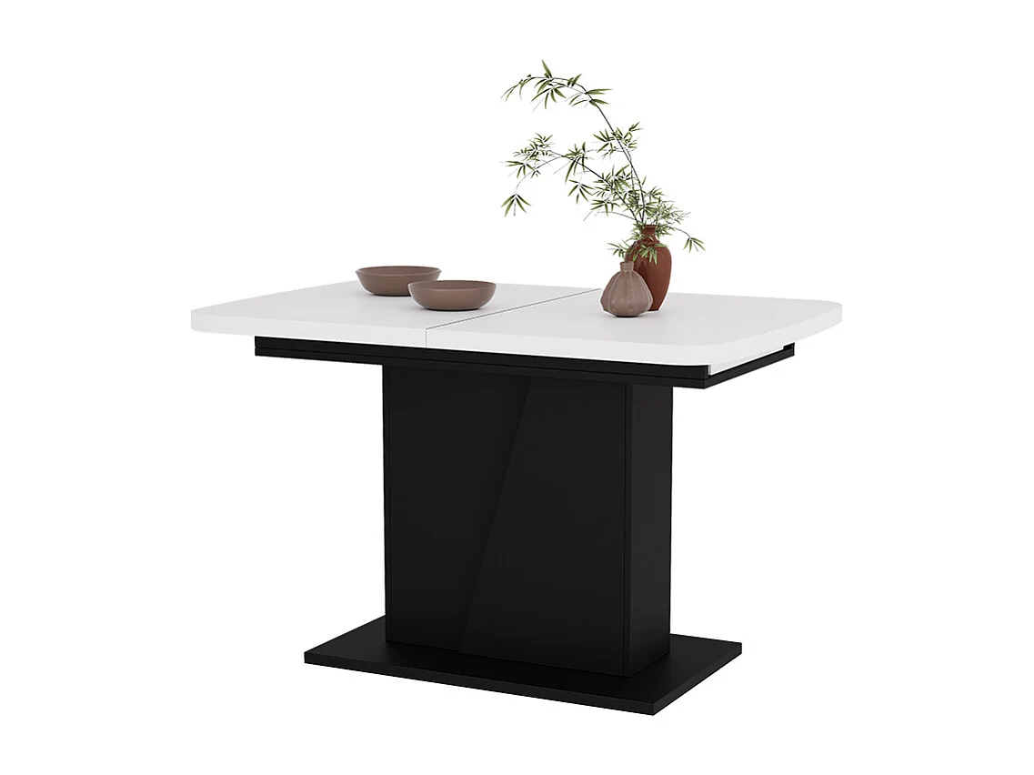 Table de salle à manger blanc/noir 120x80x77.3 fenaro