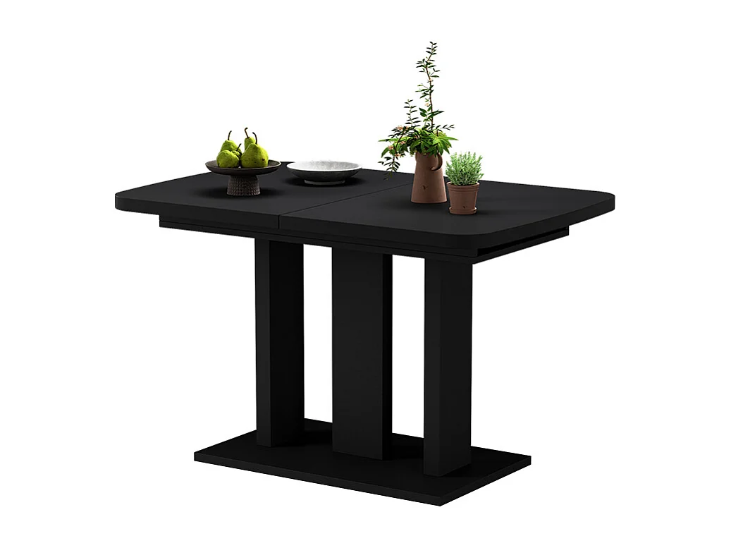 Esstisch schwarz 120x80x77.3 fenaro