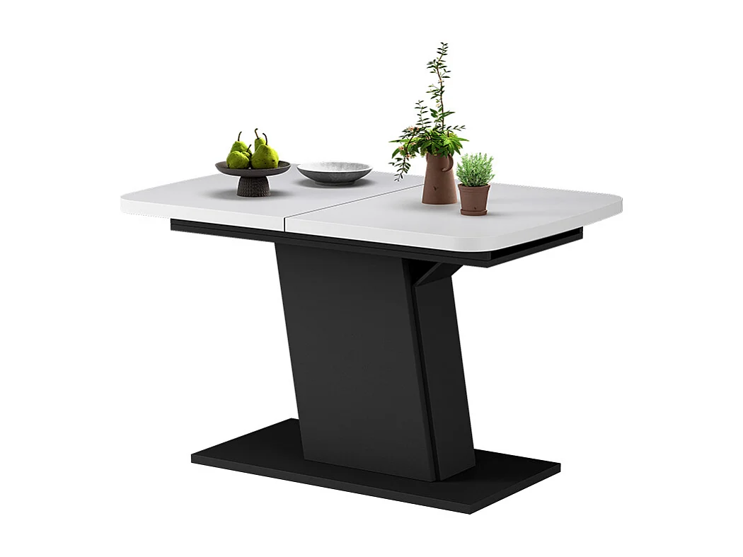 Table de salle à manger blanc/noir 120x80x77.3 fenaro