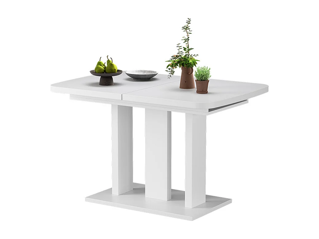 Esstisch weiß 120x80x77.3 fenaro