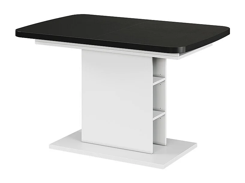 Table de salle à manger noir/blanc 120x80x77.3 fenaro