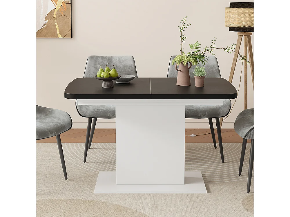 Table de salle à manger noir/blanc 120x80x77.3 fenaro