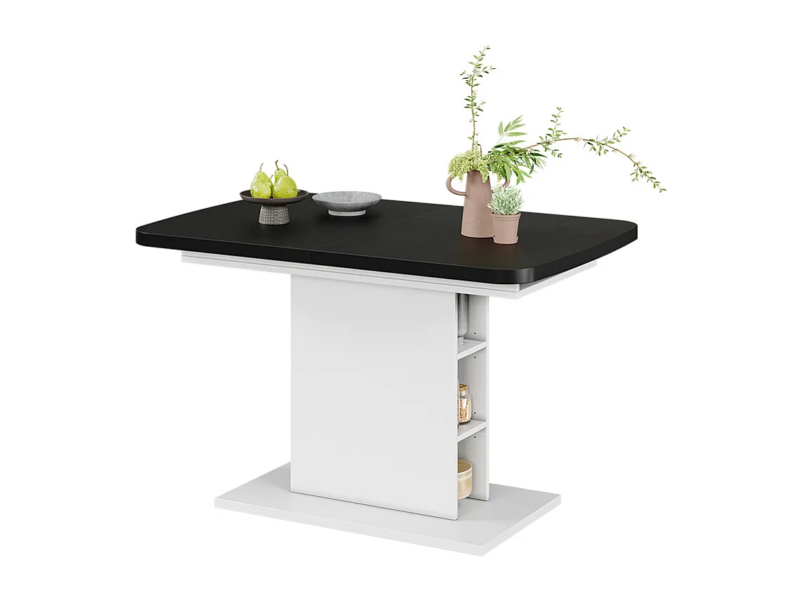 Esstisch schwarz/weiß 120x80x77.3 fenaro