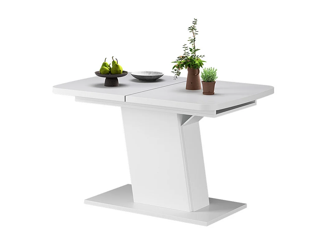 Table de salle à manger blanc 120x80x77.3 fenaro