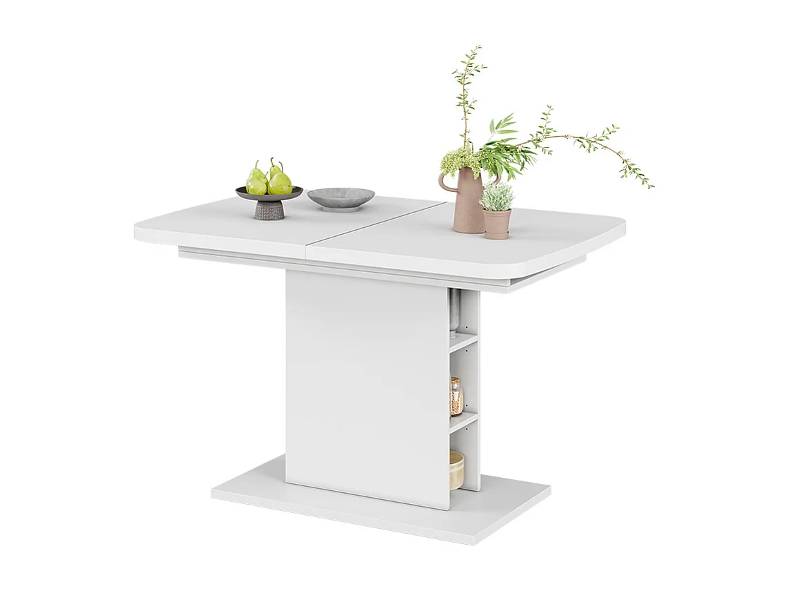 Table de salle à manger blanc 120x80x77.3 fenaro