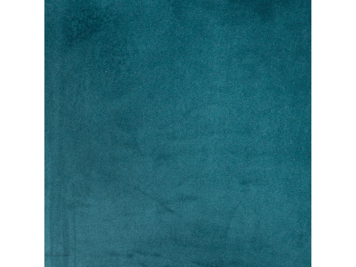 Fauteuil de salon en velours Evan