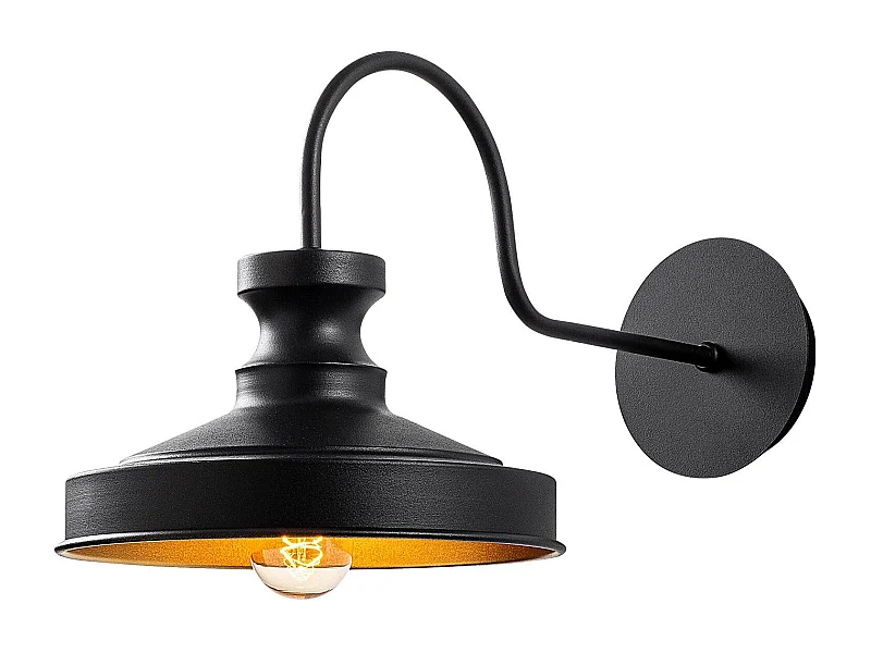 Applique murale dôme col de cygne Cardend Métal Noir