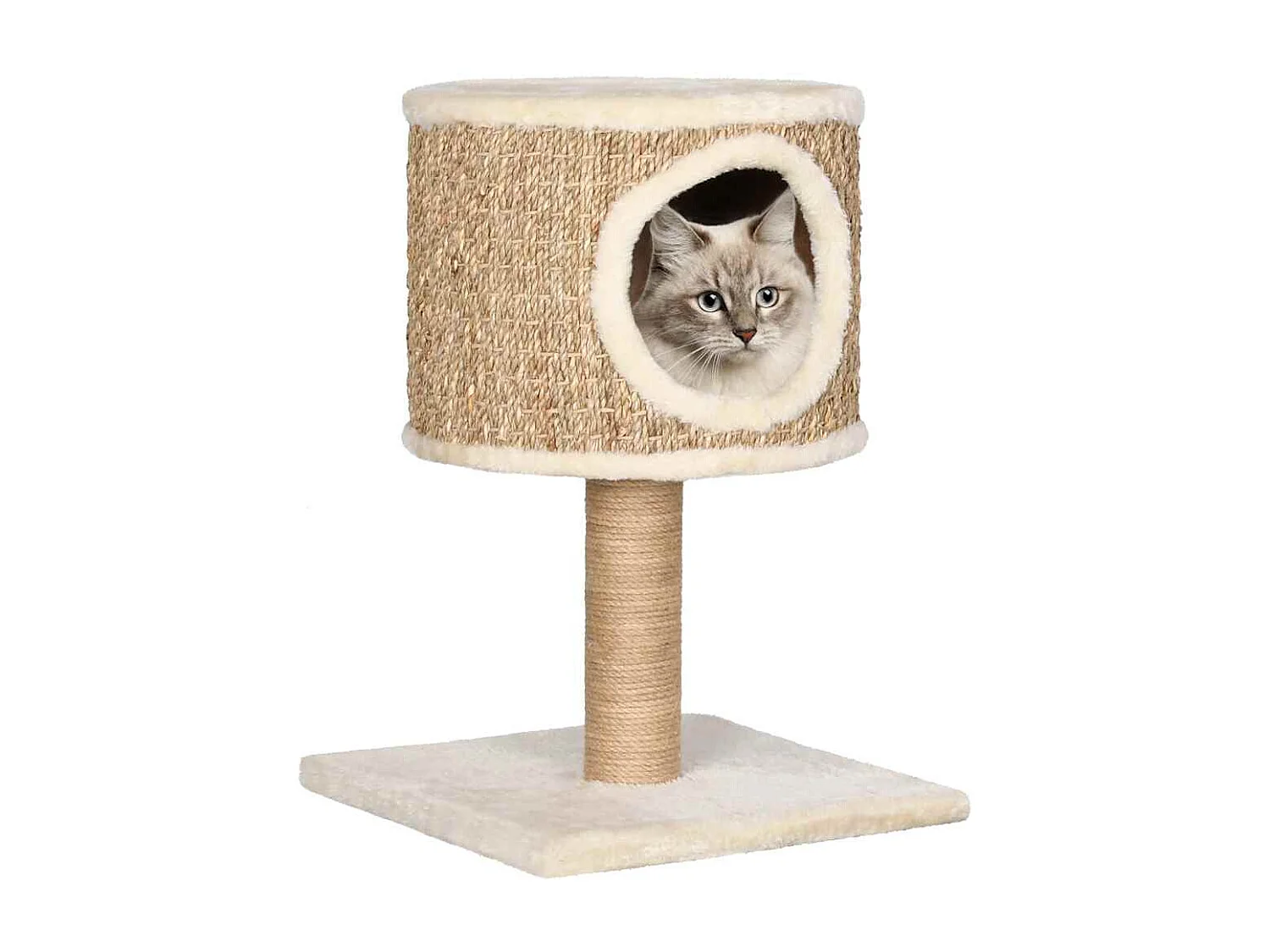 Árbol para gatos con casa y poste rascador 52 cm hierba marina