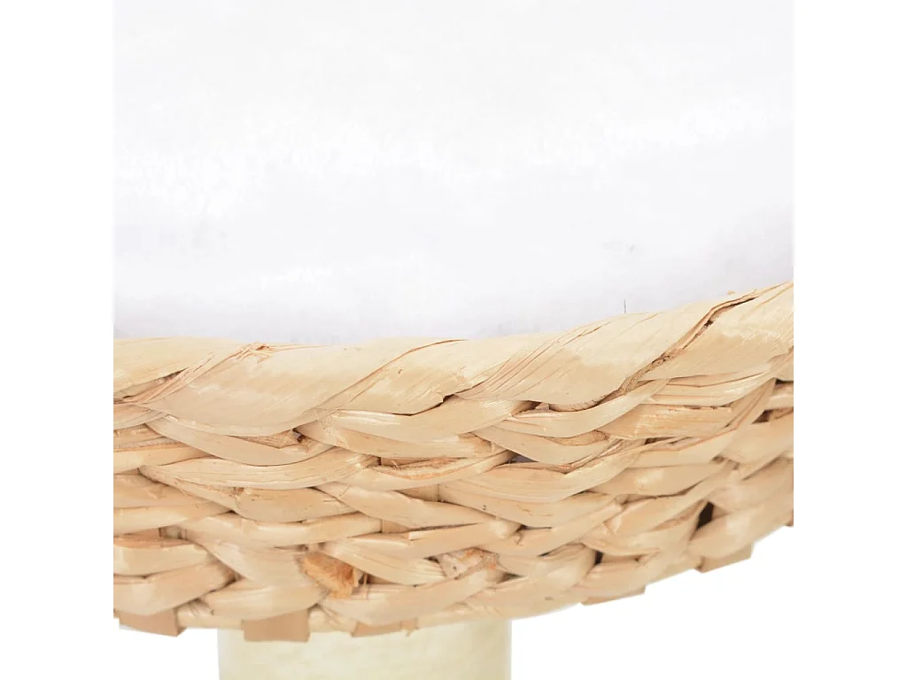 Arbre à chat avec griffoirs en sisal Herbiers marins