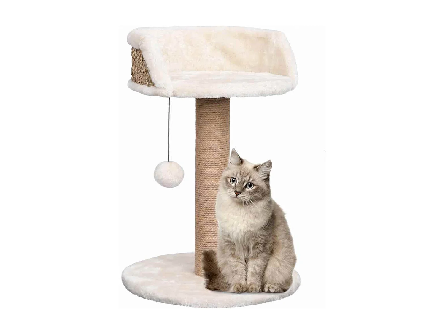 Arbre à chat avec griffoirs 49 cm Herbiers marins