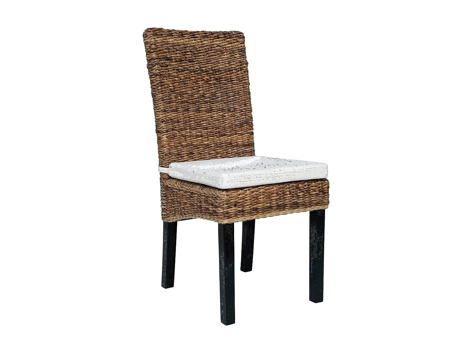 Ensemble de 2 chaises en rotin avec coussin inclus